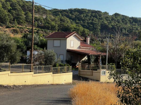 Valentina’s house